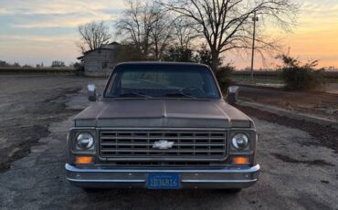 Chevrolet-c20-1976-11