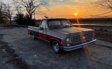 Chevrolet-c20-1976-3