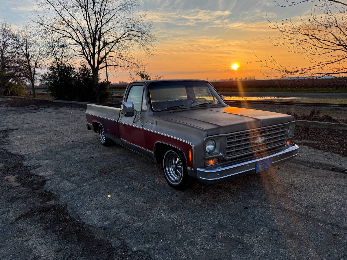 Chevrolet-c20-1976-3