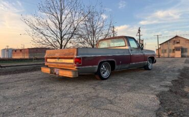 Chevrolet-c20-1976-4