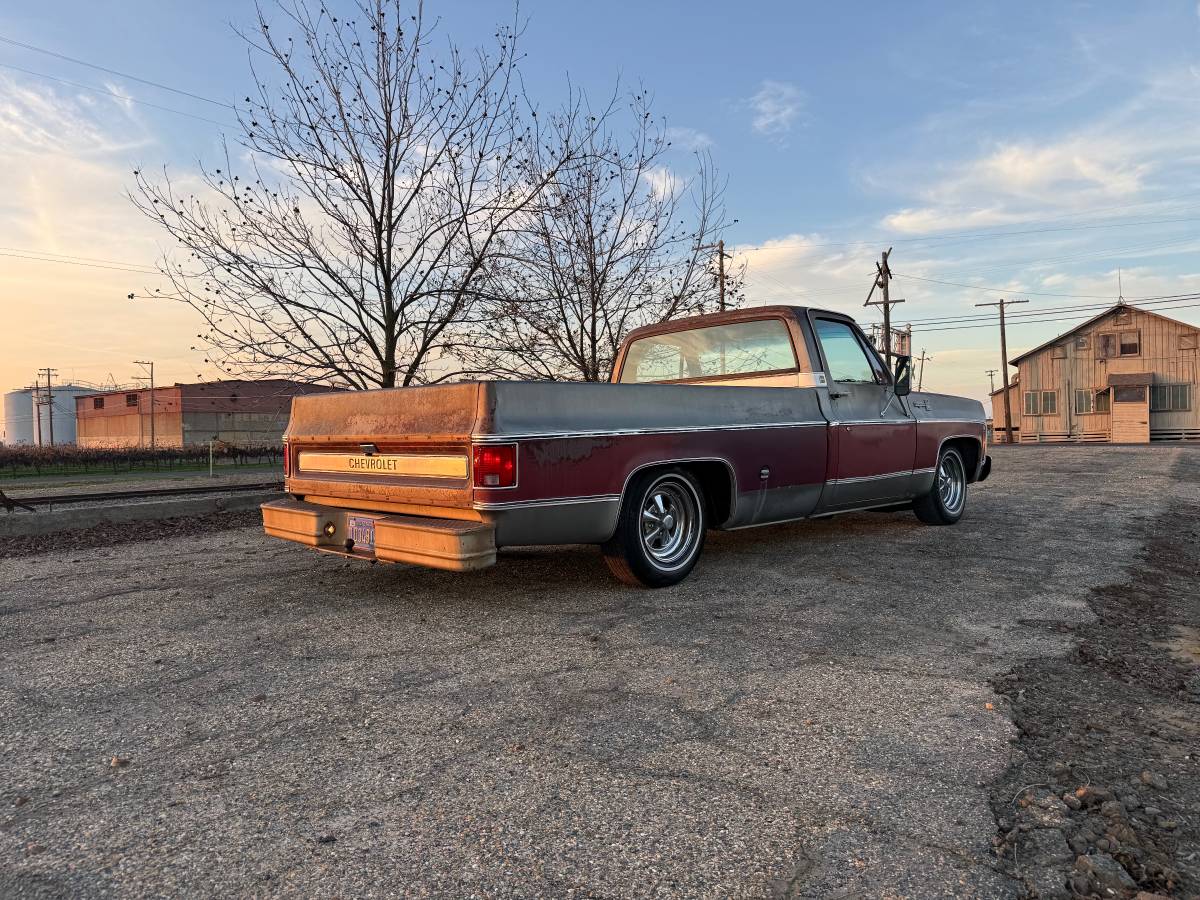 Chevrolet-c20-1976-4