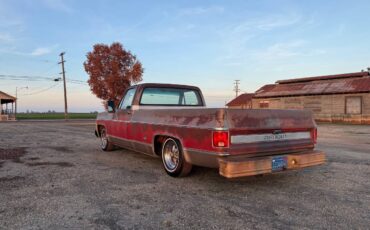 Chevrolet-c20-1976-5