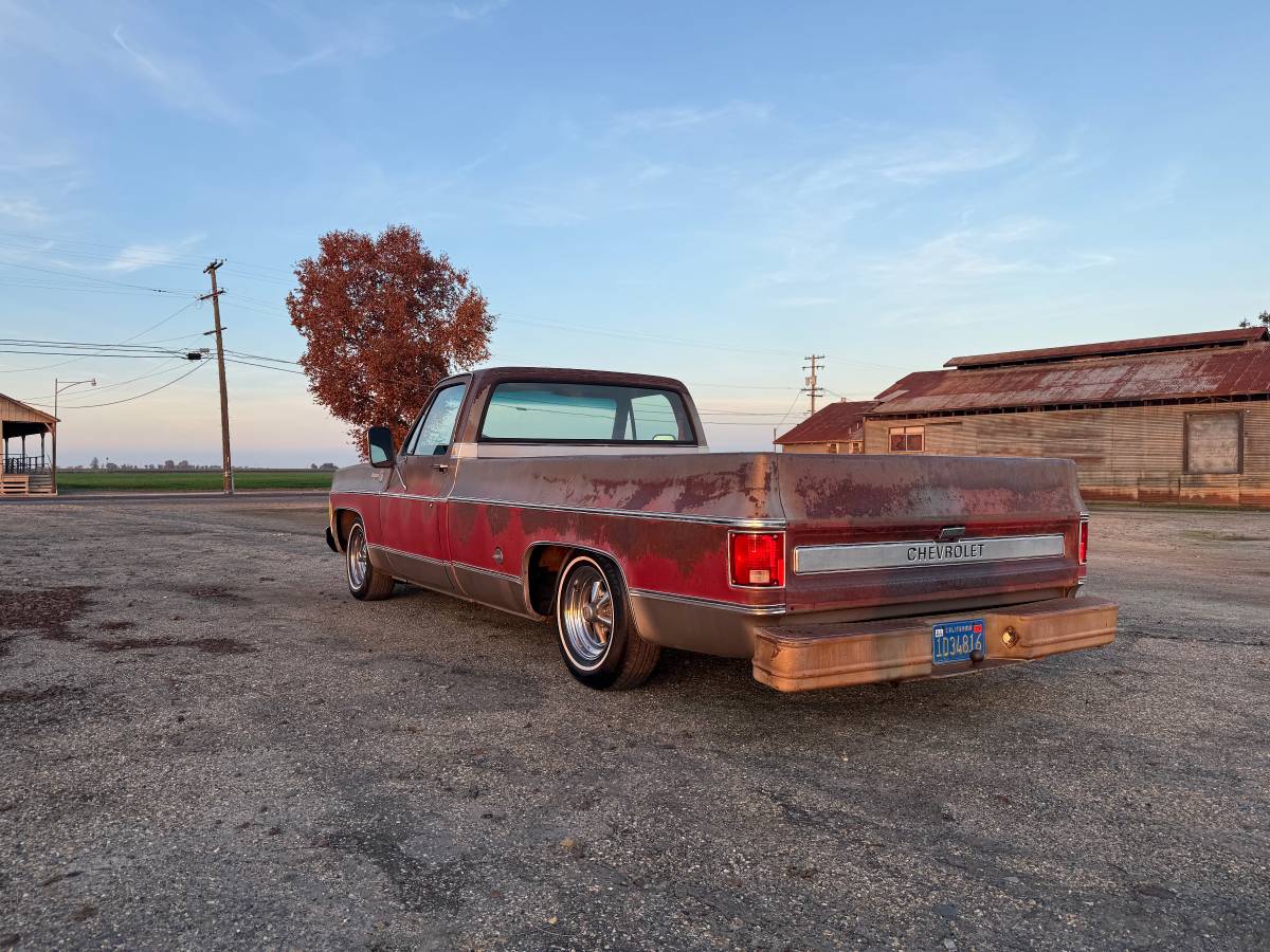 Chevrolet-c20-1976-5