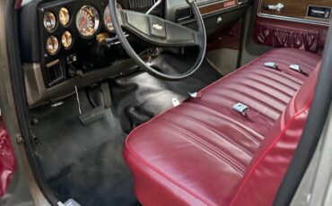 Chevrolet-c20-1976-6