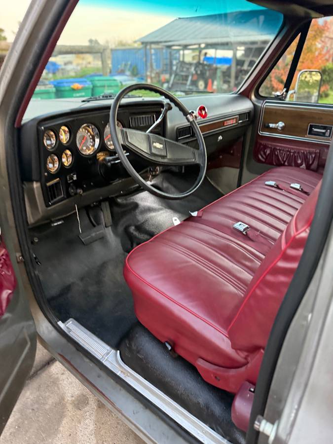 Chevrolet-c20-1976-6