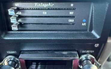 Chevrolet-c20-1976-9