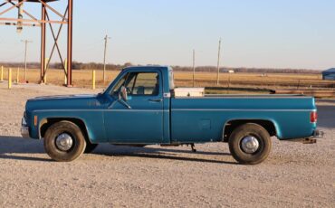 Chevrolet-c20-1977-blue-3