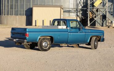 Chevrolet-c20-1977-blue-4