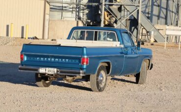 Chevrolet-c20-1977-blue-5