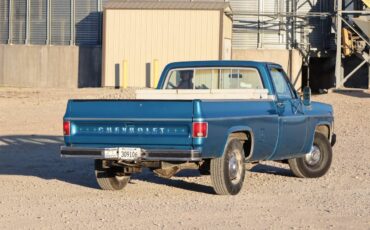 Chevrolet-c20-1977-blue-6