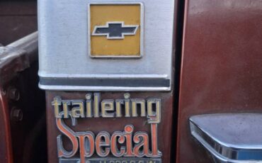 Chevrolet-c20-1979-3