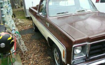 Chevrolet-c20-1979-5