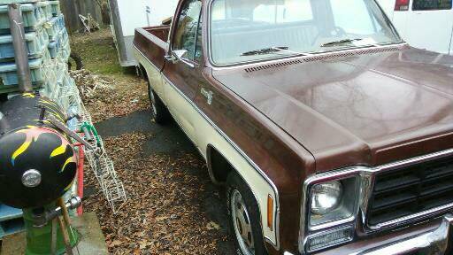 Chevrolet-c20-1979-5