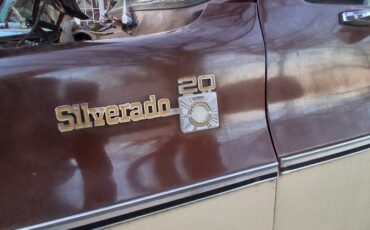 Chevrolet-c20-1979-6