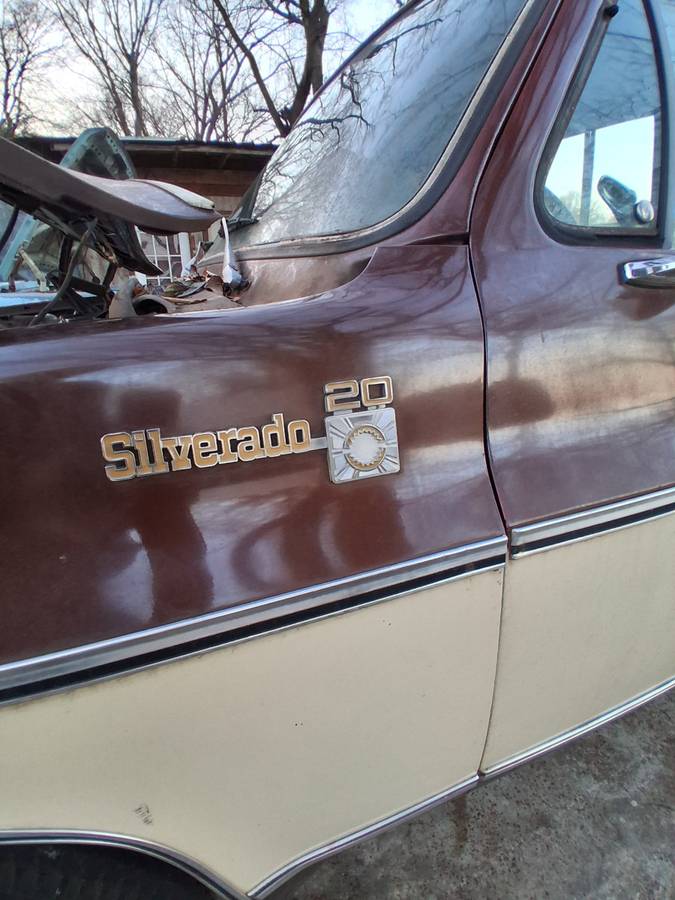 Chevrolet-c20-1979-6