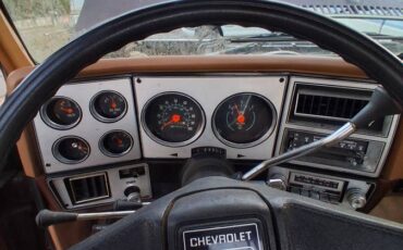 Chevrolet-c20-1979-7