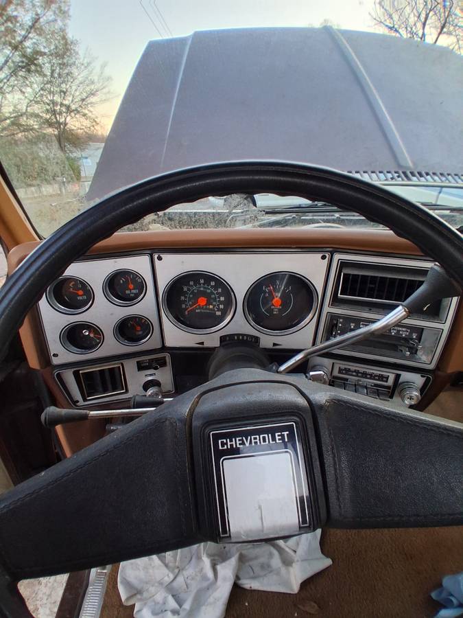 Chevrolet-c20-1979-7
