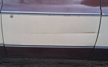 Chevrolet-c20-1979-8