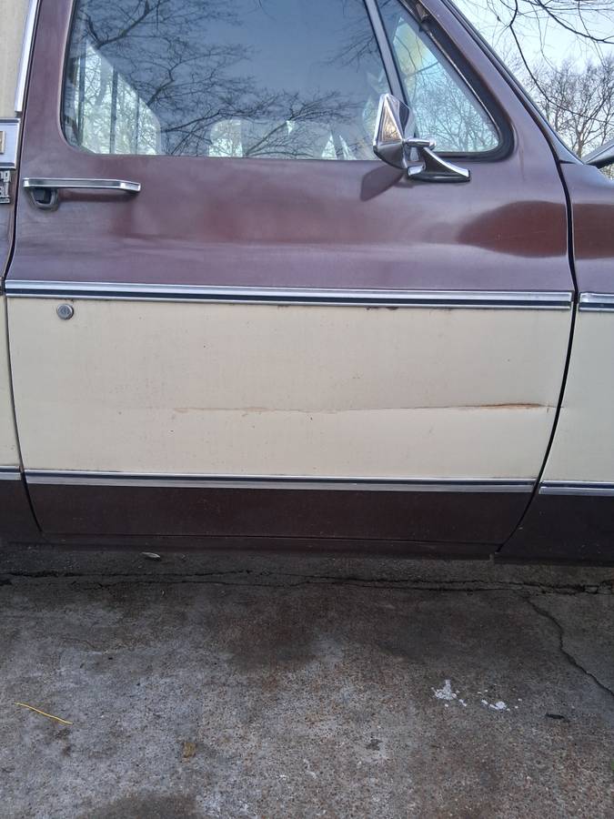 Chevrolet-c20-1979-8