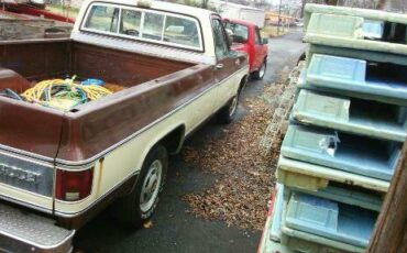 Chevrolet-c20-1979-9