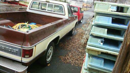 Chevrolet-c20-1979-9