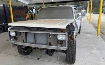 Chevrolet-c20-diesel-1981-2