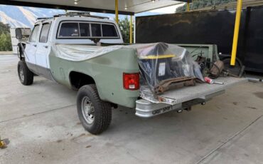 Chevrolet-c20-diesel-1981-8