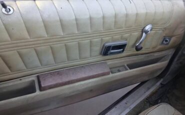 Chevrolet-camaro-z28-1977-4