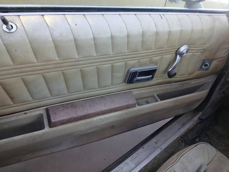 Chevrolet-camaro-z28-1977-4