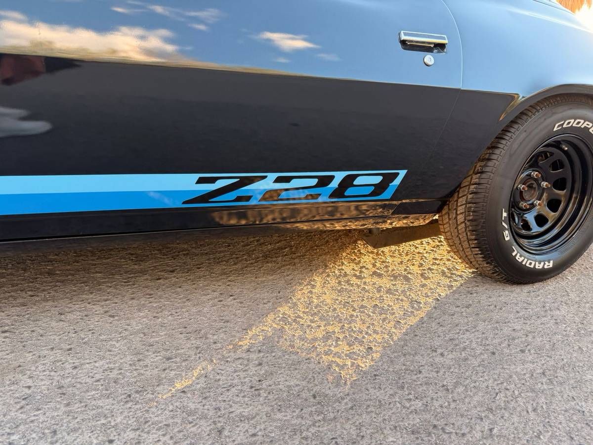 Chevrolet-camaro-z28-1979-blue-7