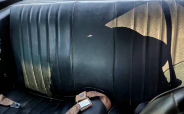 Chevrolet-camaro-z28-1981-blue-4