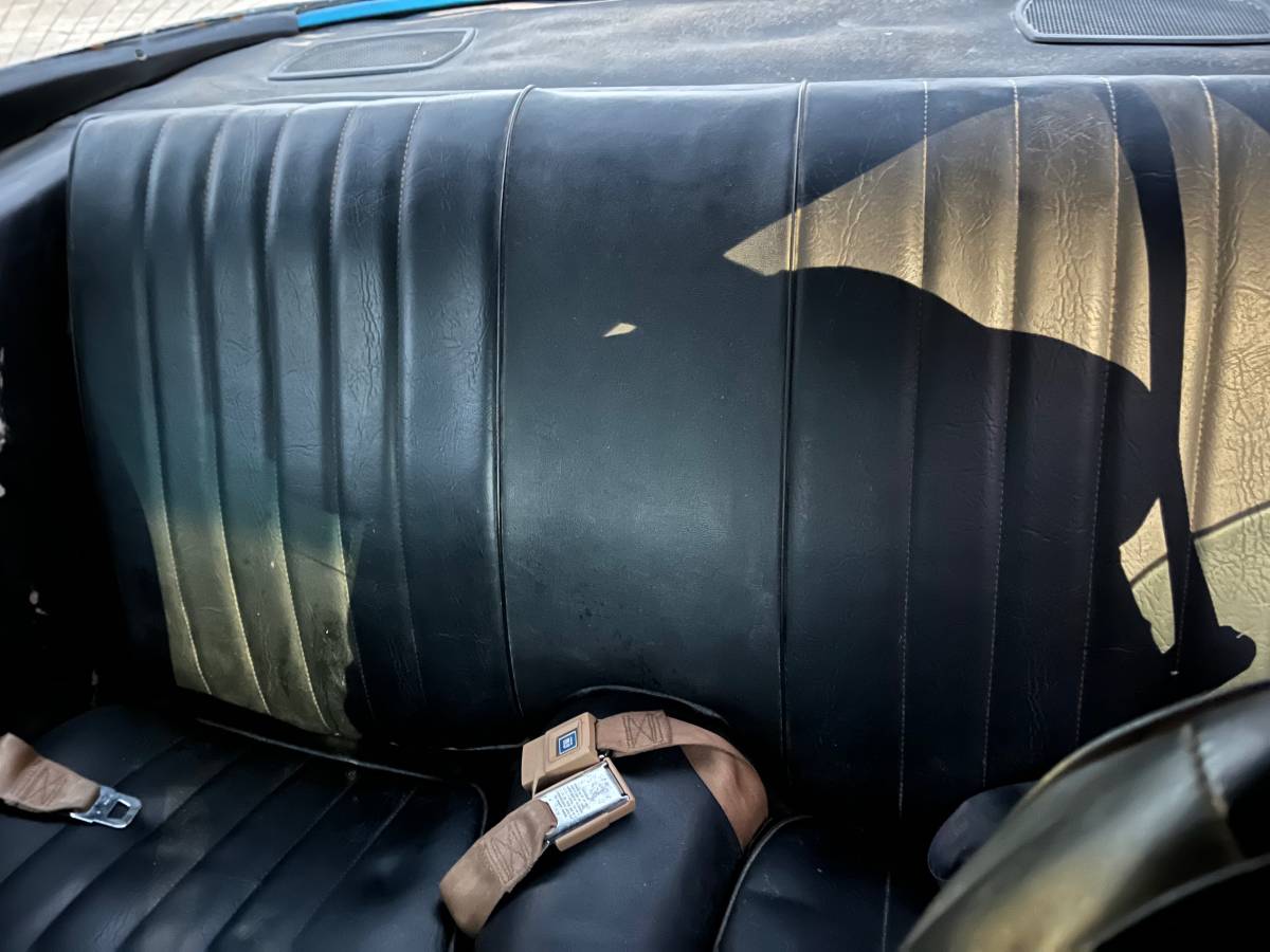 Chevrolet-camaro-z28-1981-blue-4