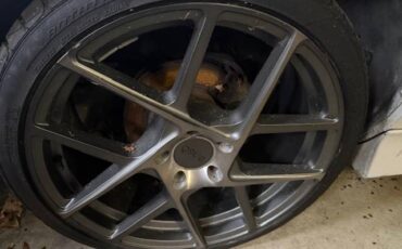 Chevrolet-camaro-z28-t-top-1987-white-14