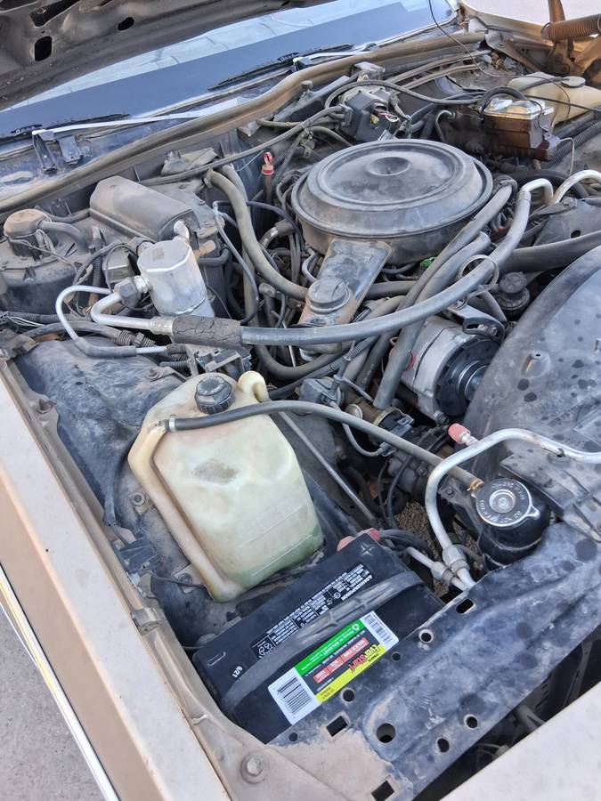 Chevrolet-caprice-1985-brown-2