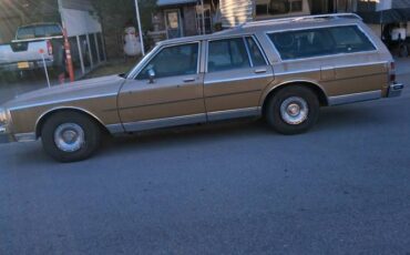 Chevrolet-caprice-1985-brown-6