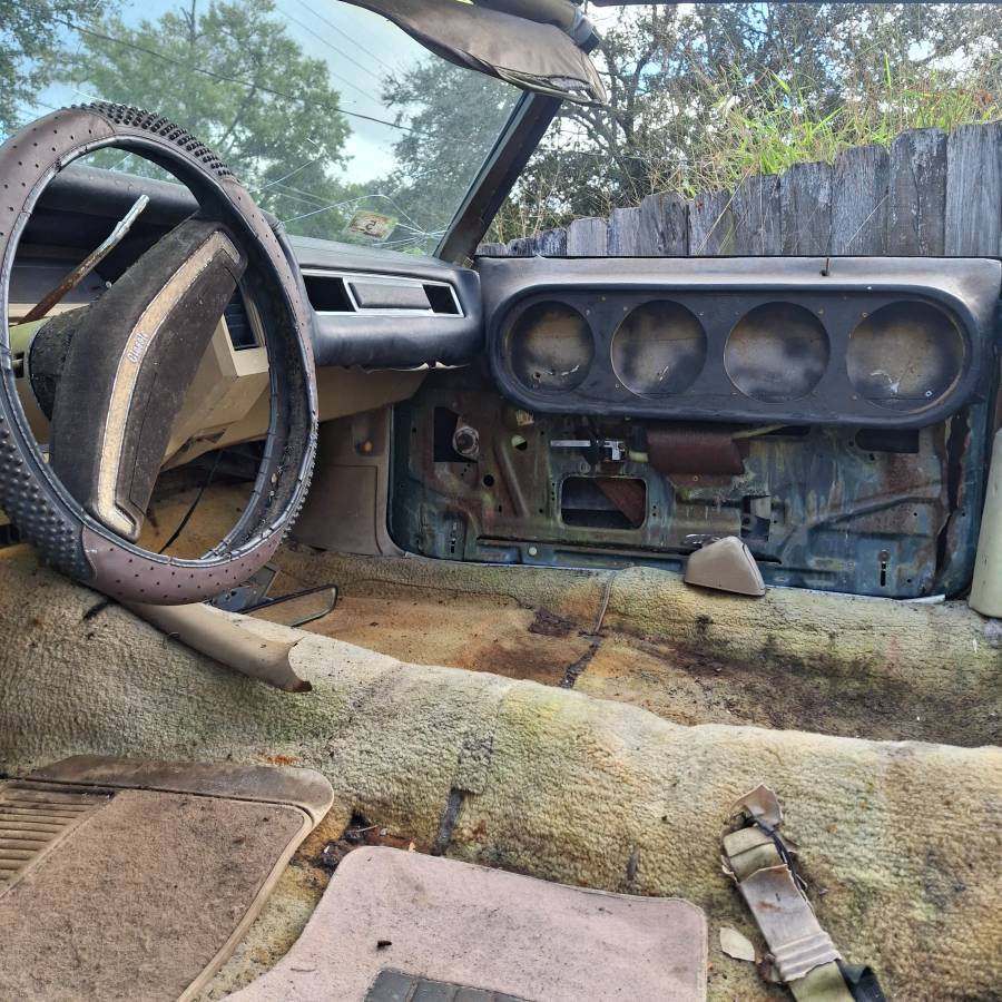 Chevrolet-caprice-classic-1975-green-11