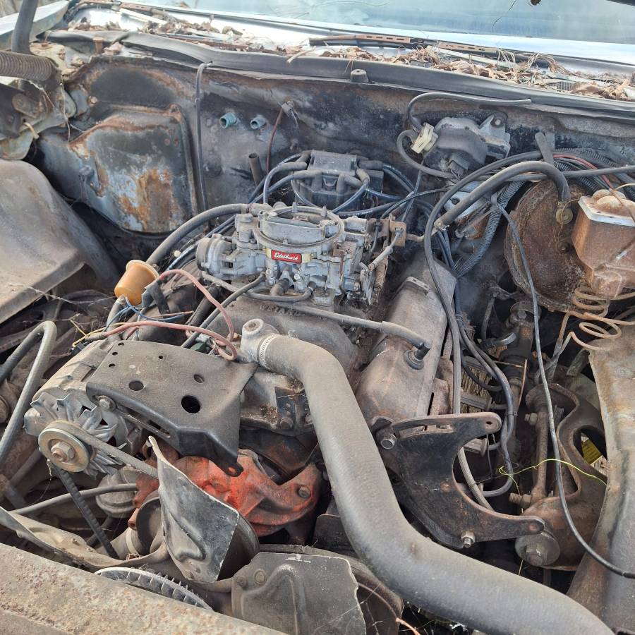 Chevrolet-caprice-classic-1975-green-15