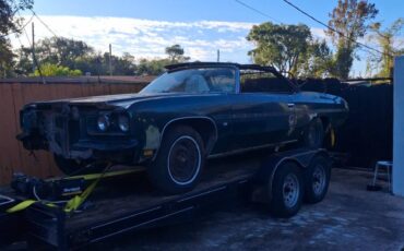 Chevrolet-caprice-classic-1975-green