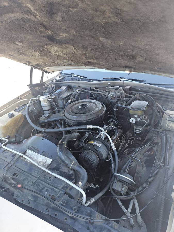 Chevrolet-caprice-classic-1988-custom-18