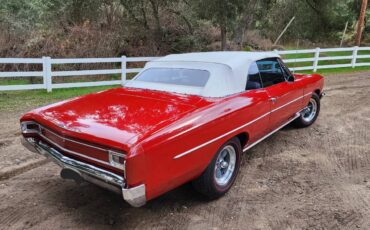 Chevrolet-chevelle-1966-15