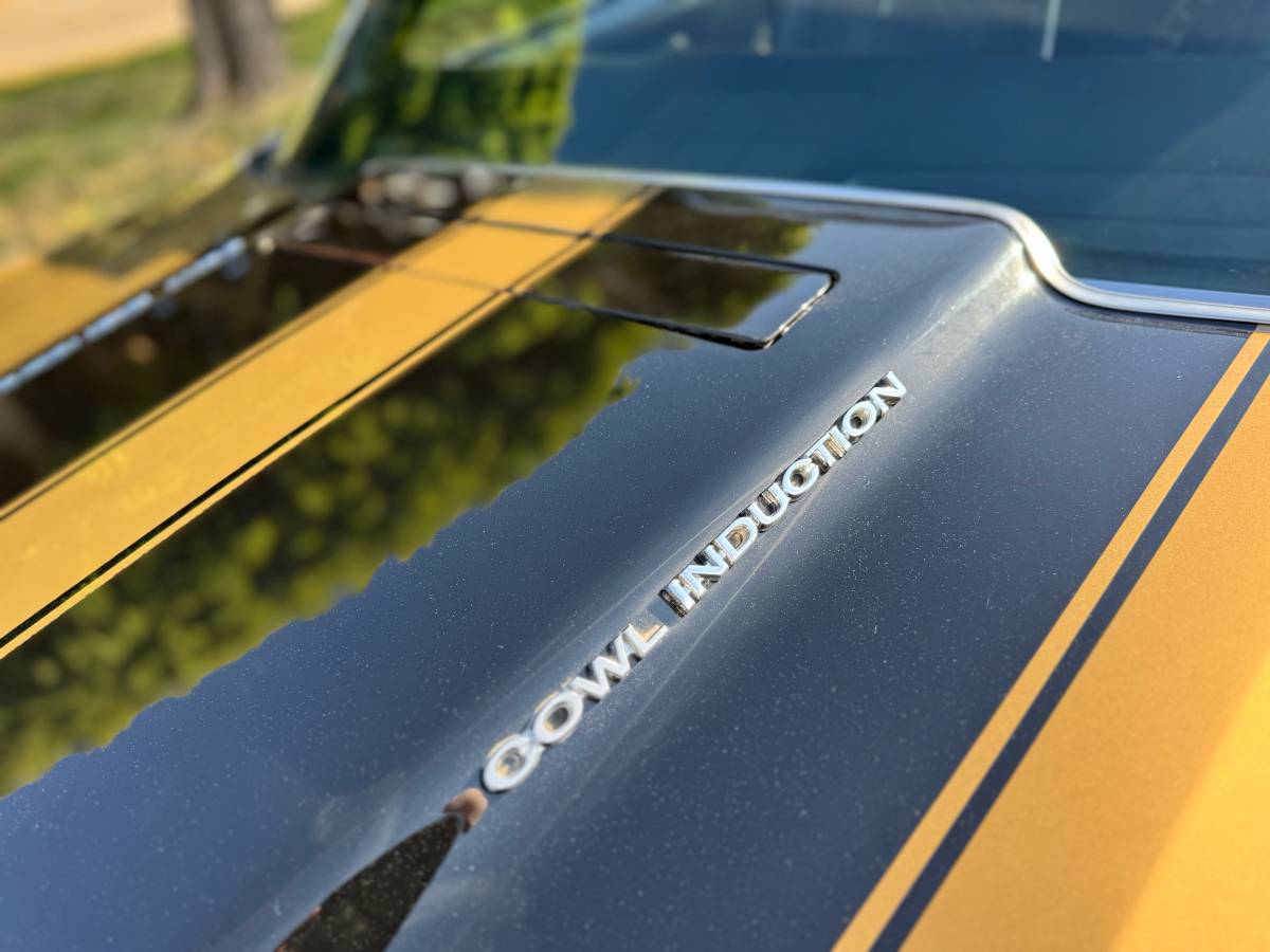 Chevrolet-chevelle-1970-custom-2