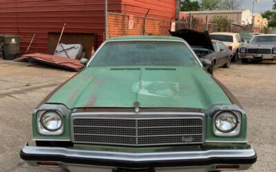 Chevrolet chevelle 1974