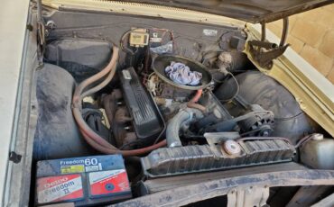 Chevrolet-chevelle-ss-1965-yellow-12