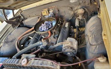 Chevrolet-chevelle-ss-1965-yellow-13