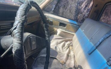 Chevrolet-cheyenne-1977-black-4