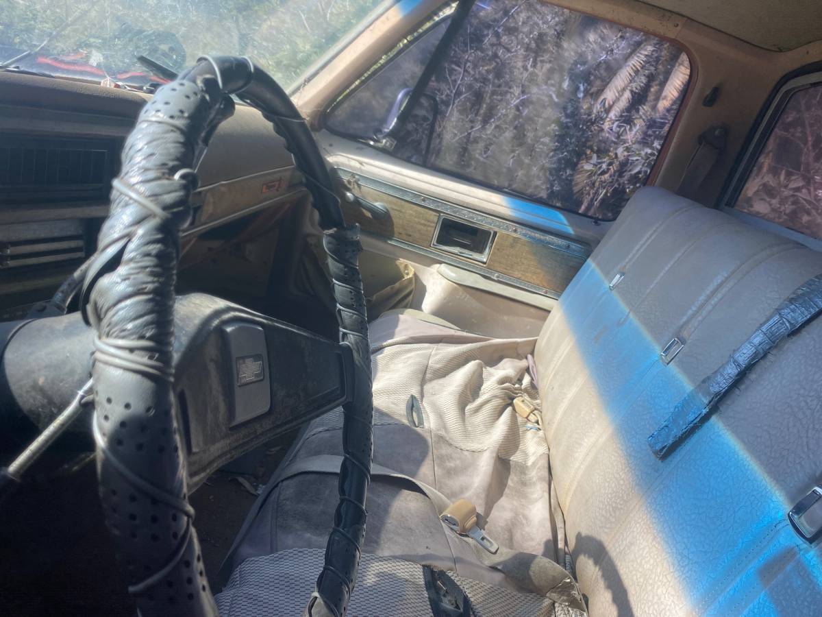 Chevrolet-cheyenne-1977-black-4