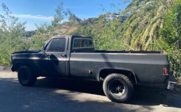 Chevrolet-cheyenne-1977-black-5