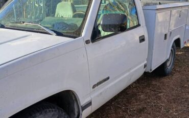 Chevrolet-cheyenne-2500-1994-white