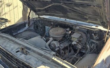 Chevrolet-ck-pickup-12-ton-1981-1