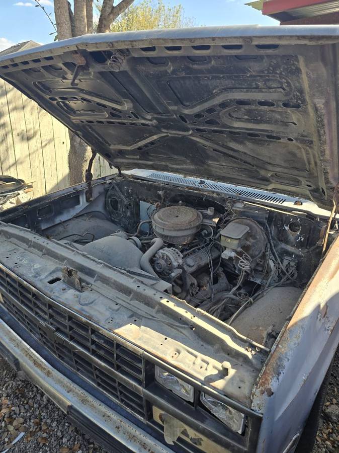 Chevrolet-ck-pickup-12-ton-1981-1